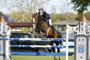 12 ves holland sportl/KWPN mn 