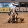 13 ves quarter horse mn 