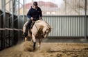 13 ves quarter horse mn 
