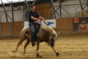 13 ves quarter horse mn 