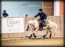13 ves quarter horse mn 