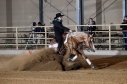 15 ves quarter horse mn 