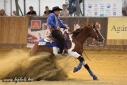 18 ves painthorse mn 