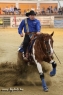 18 ves painthorse mn 