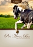 22 ves painthorse mn 