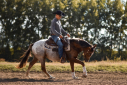 Elad 1 ves appaloosa mn 