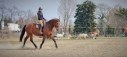 Elad 12 ves belga melegvr kanca 