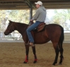 Elad 12 ves quarter horse kanca 