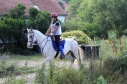 Elad 13 ves arab flvr (arab fajta) herlt 