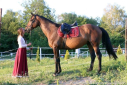 Elad 13 ves magyar sportflvr kanca 