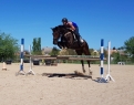 Elad 15 ves magyar sportl herlt 