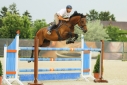 Elad 15 ves nmet sportl herlt 