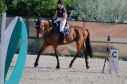 Elad 15 ves nmet sportl herlt 