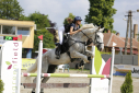 Elad 18 ves holsteini herlt 