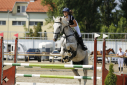 Elad 18 ves holsteini herlt 