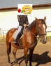 Elad 21 ves kisbri flvr kanca 