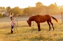 Elad 4 ves appaloosa mn 