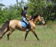 Elad 6 ves sportpni herlt 