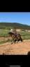Elad 8 ves holland sportl/KWPN kanca 