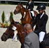 Elad 8 ves magyar sportflvr kanca 