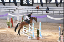 Elad 8 ves magyar sportflvr kanca 