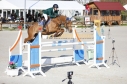 Elad 9 ves holland sportl/KWPN kanca 
