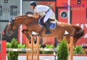 Elad 9 ves holland sportl/KWPN kanca 