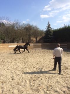 Elad� 15 �ves fr�z m�n 