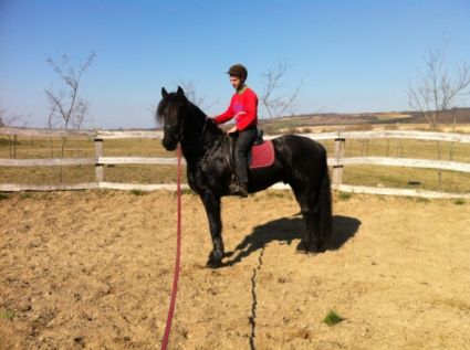 Elad� 15 �ves fr�z m�n 