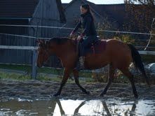 Elad� 23 �ves quarter horse kanca 