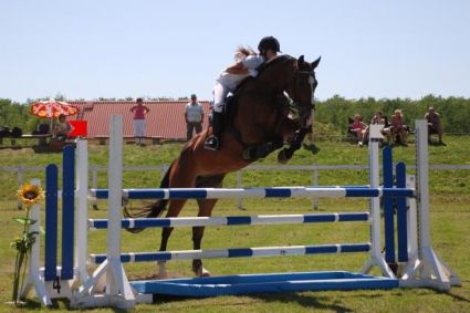 Elad� 24 �ves kisb�ri f�lv�r her�lt 