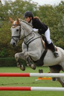 Elad� 23 �ves arab f�lv�r (arab fajta) kanca 