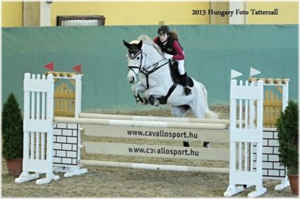 Elad� 23 �ves arab f�lv�r (arab fajta) kanca 