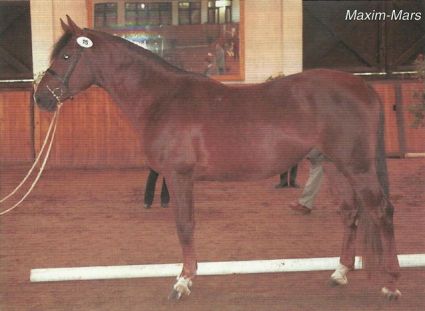 26 �ves kisb�ri f�lv�r m�n 