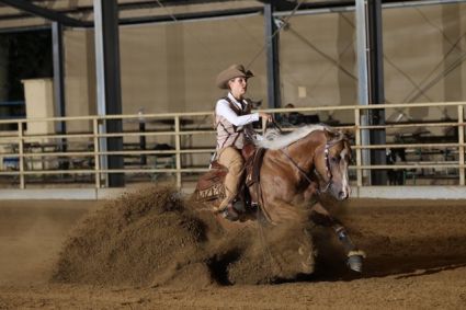 16 �ves quarter horse m�n 