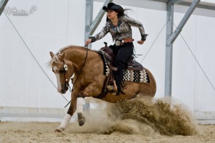 16 �ves quarter horse m�n 