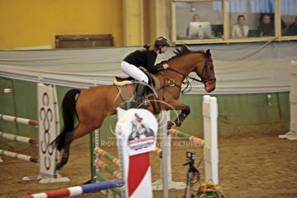 Elad 24 ves magyar flvr herlt 