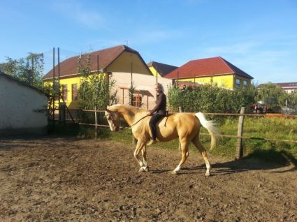 Elad� 18 �ves magyar f�lv�r her�lt 
