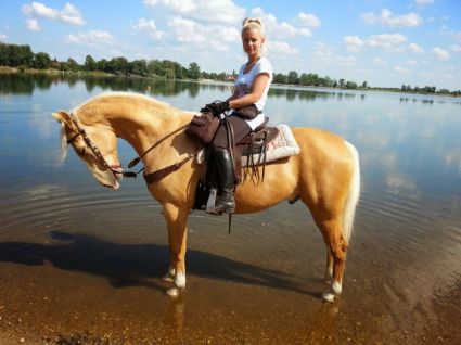 Elad� 18 �ves magyar f�lv�r her�lt 