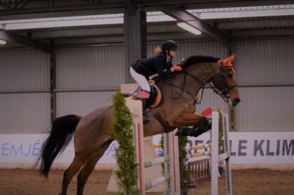 Elad 20 ves magyar flvr herlt 