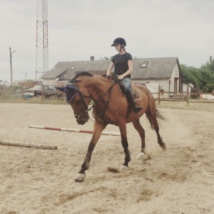 Elad 20 ves magyar flvr herlt 