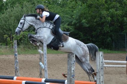 Elad 16 ves magyar sportl herlt 