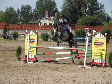 Elad 16 ves magyar sportl herlt 