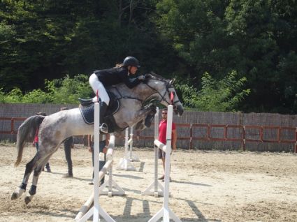 Elad 16 ves magyar sportl herlt 