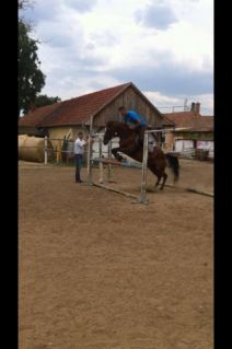 Elad 23 ves kisbri flvr kanca 