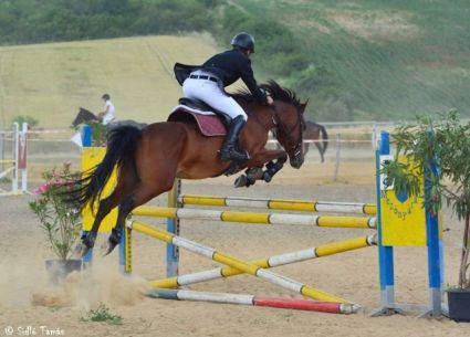 Elad 23 ves kisbri flvr kanca 