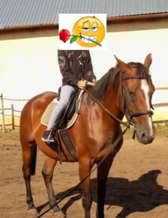 Elad 23 ves kisbri flvr kanca 