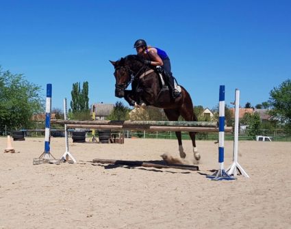 Elad� 17 �ves magyar sportl� her�lt 