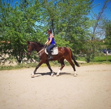 Elad� 17 �ves magyar sportl� her�lt 