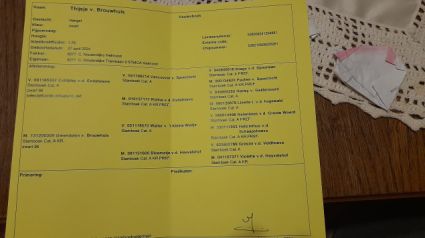 Elad� 7 �ves shetland p�ni m�n 